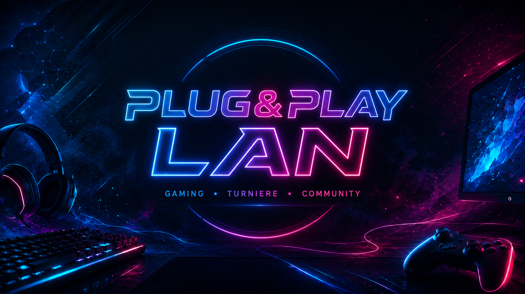 PLUG & PLAY LAN